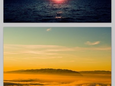 最适合新手养的室内花卉