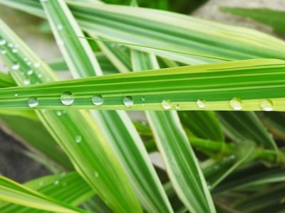 个人成长中的时间管理技巧