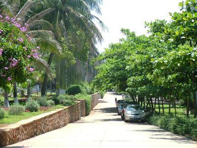 解决网上平台提现被取消不能取款的方法有哪些