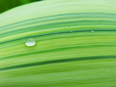 游戏平台取现线路维护拦截提现你需要知道的一切