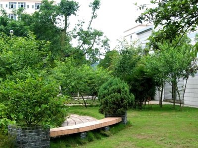 家长如何在亲自教育中平衡学术与情感发展？