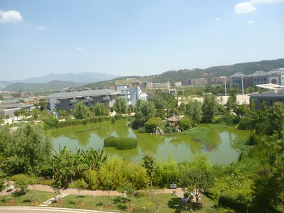 探索鸟类的喂养习性：谁喂谁？