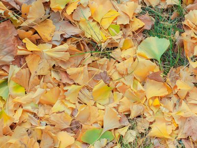 游戏平台没法取款用什么办法才能取款