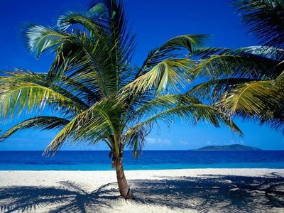 地球上的生物与宇宙中可能的生命