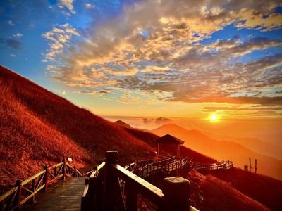 自制芒果西米露香甜