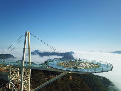 扶桑花品种改良的方向