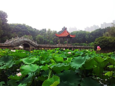 为什么每天喝足够的水对健康至关重要？