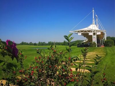 教育的未来：亲子教育如何应对当今社会的挑战