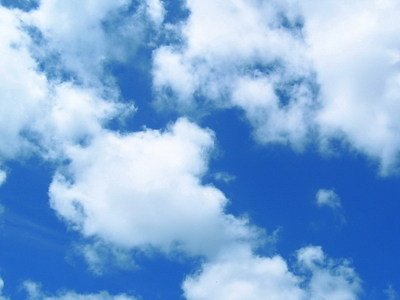 螳螂举刀捕捉小虫的前足结构