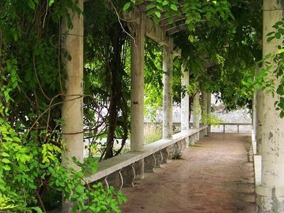 黑平台银行风控审核提不了现怎么办解决资金受限问题的有效步骤