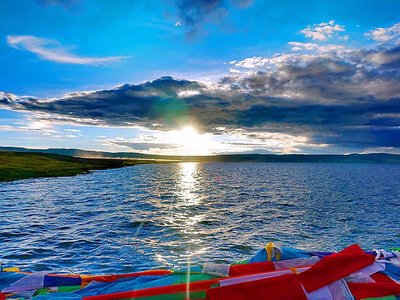解密生物奥秘：从微观世界到生物多样性
