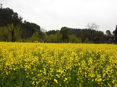 亲子教育如何促进孩子的社会责任感？