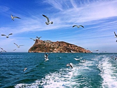 如何选择适合自己肤质的护肤品