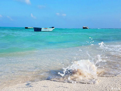 网上赢了被黑取款申请被取消没法取款怎么操作