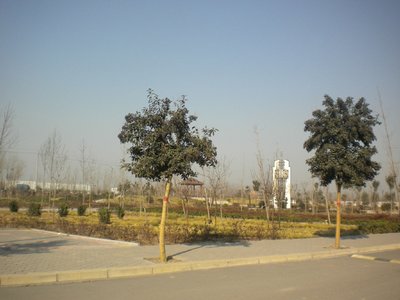 黑平台银行审核无法通过怎么办解决办法一网打尽