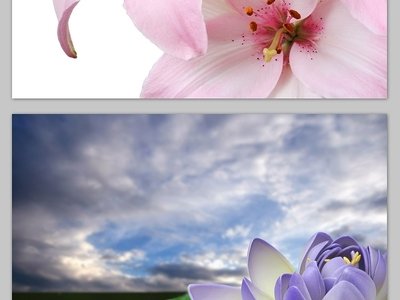 旅行休闲：远离喧嚣的理想避风港