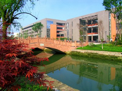 鹦鹉的语言能力：了解这种鸟类的智慧