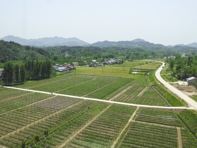 游戏黑平台不给取款怎么维权