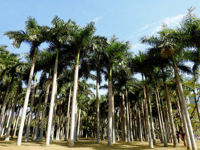 个人成长与领导力：如何培养领导力