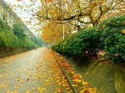 未来家居：科技如何改变我们的居住环境？