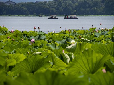 轻松的旅行休闲方式，让你真正感受自由