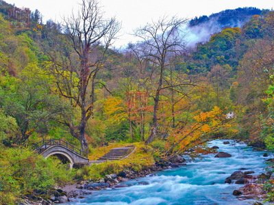 网络平台提现通道维护取不了款如何解决