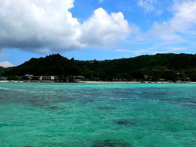 深海中的巨大生物与生态体系