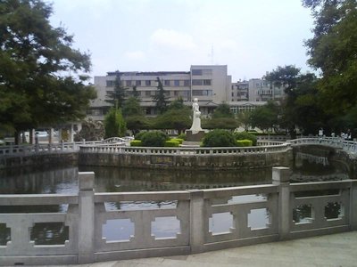 花卉在文化中的重要象征