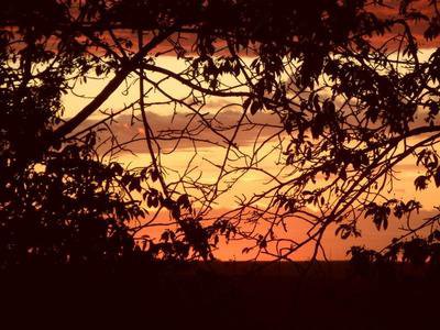 爱情中的信任建立：如何防止被伤害？