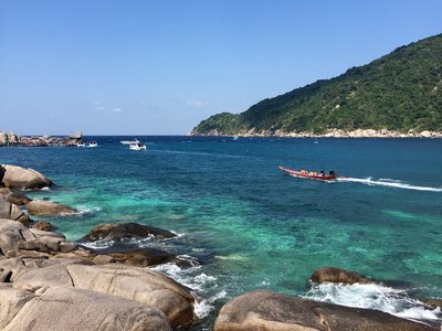 淡水鱼生态习性及识别方法详解