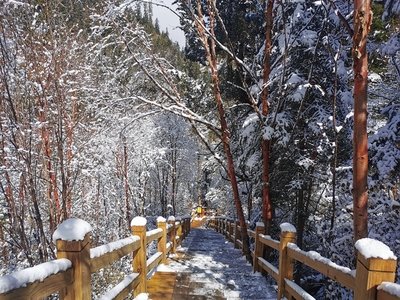 提现成功却遇到资金未到账问题怎么办