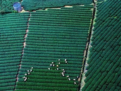 网上黑平台取现受阻这些方法可帮您解决问题