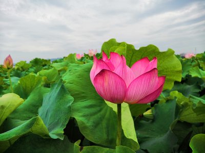 食品过期的处理方法，减少浪费