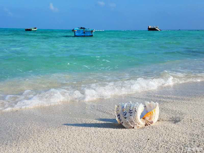 家庭花园中必种的五种植物