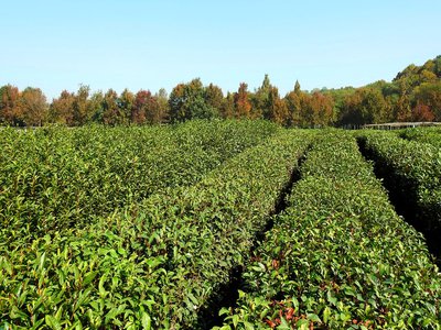 平台流水不够流水未更新取不了款如何解决