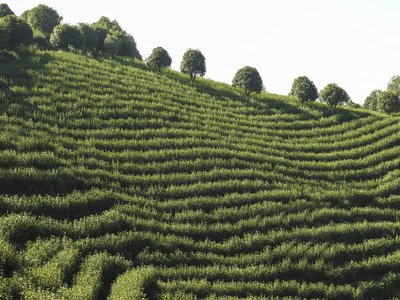 网上黑平台取款提交后审核不通过不给取款怎么解决