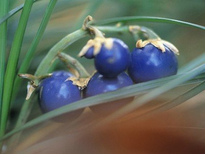 平台账户涉嫌套利取不了款怎么追回