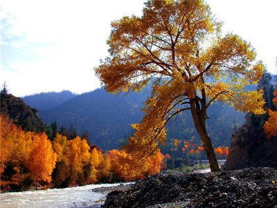 如何选购适合自己的家庭清洁工具