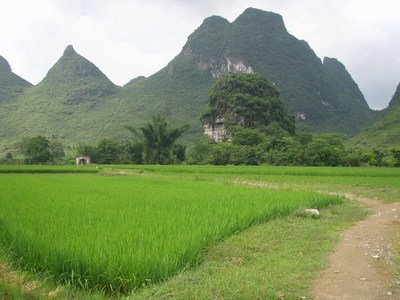 网上黑平台风控审核提不了款怎么处理