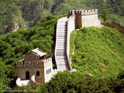 绿色支付：如何让金钱和环保共存？