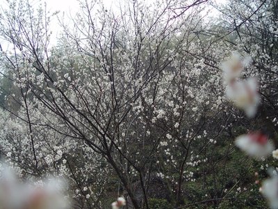 平台维护期间提现无望怎么办网上平台给你解决方案