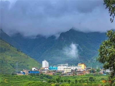 樱桃树根癌病的预防