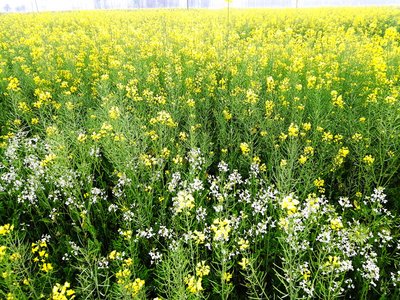 家居装修中最常见的错误，你犯了几个？