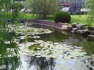 情绪平衡的自我调节策略