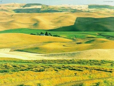 平台出款端口维护没法提现如何解决