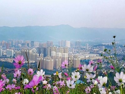 如何利用家具的尺寸搭配提升家居空间？