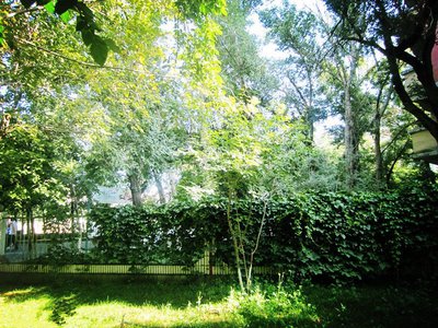 驴拉磨时转圈不停的工作机制