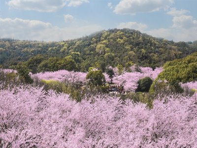 游戏平台账户遭遇异常登录提现申请被拒怎么办