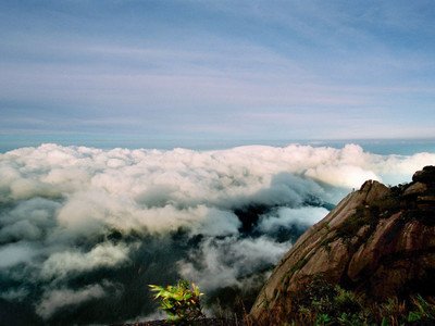 网络平台流水未更新出不了款如何解决