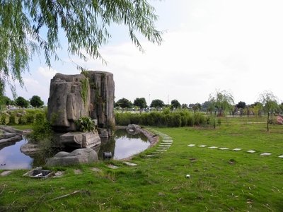 不同鸟类的栖息地与适应能力